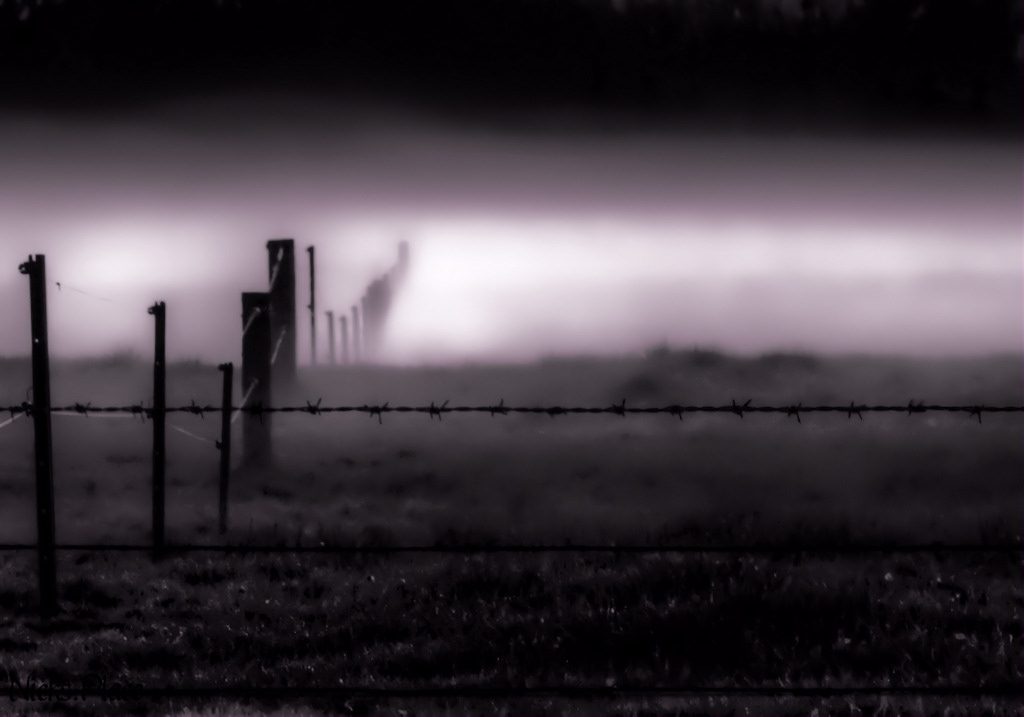 into fog